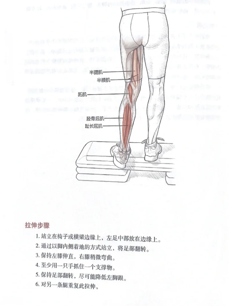 最有效的小腿拉伸🦵预防粗腿紧绷