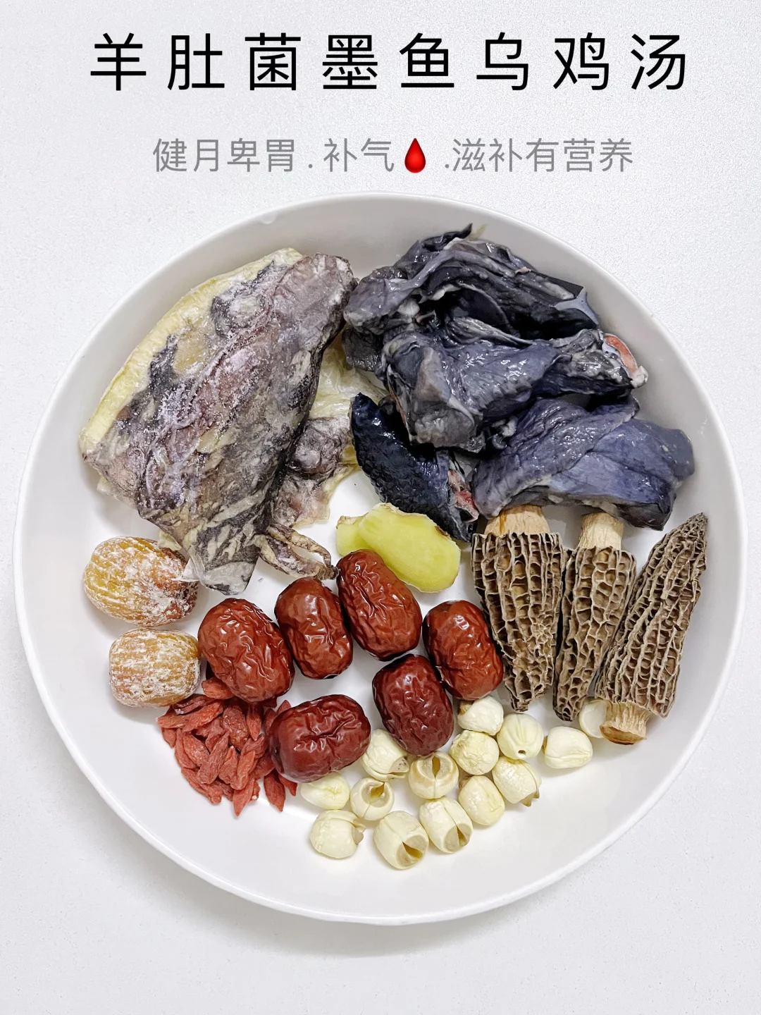 中翳说常熬夜气🩸虚喝这个羊肚菌墨鱼乌鸡汤