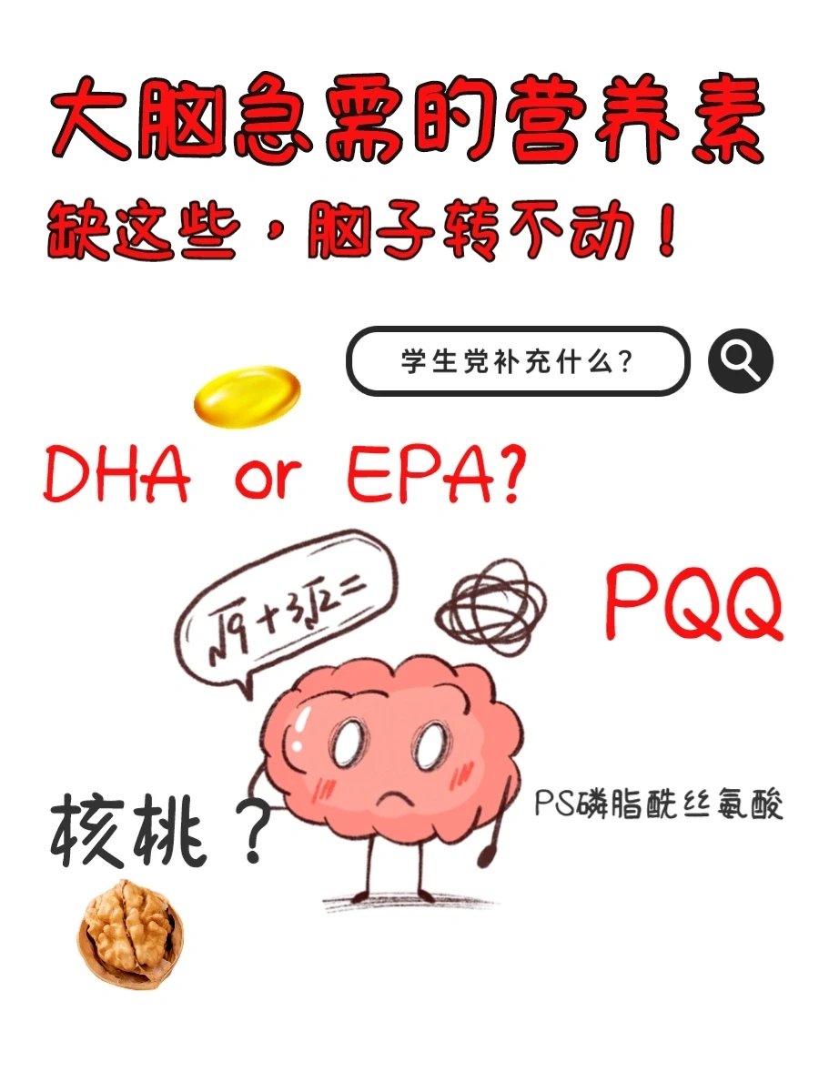 家有学生必看，有效补脑请这样做❗️