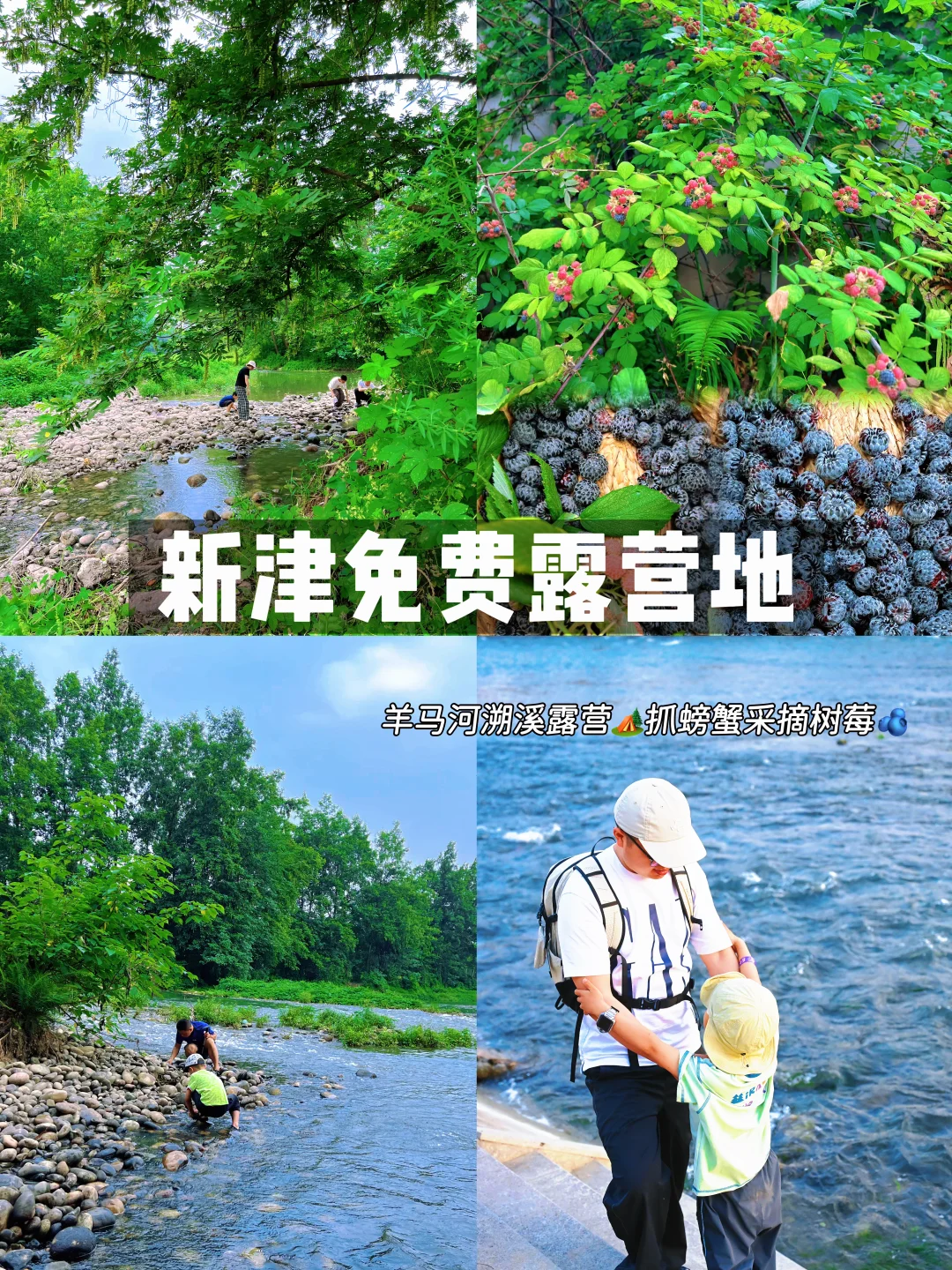 新津免费露营地‼️🉑溯溪抓螃蟹采摘树莓