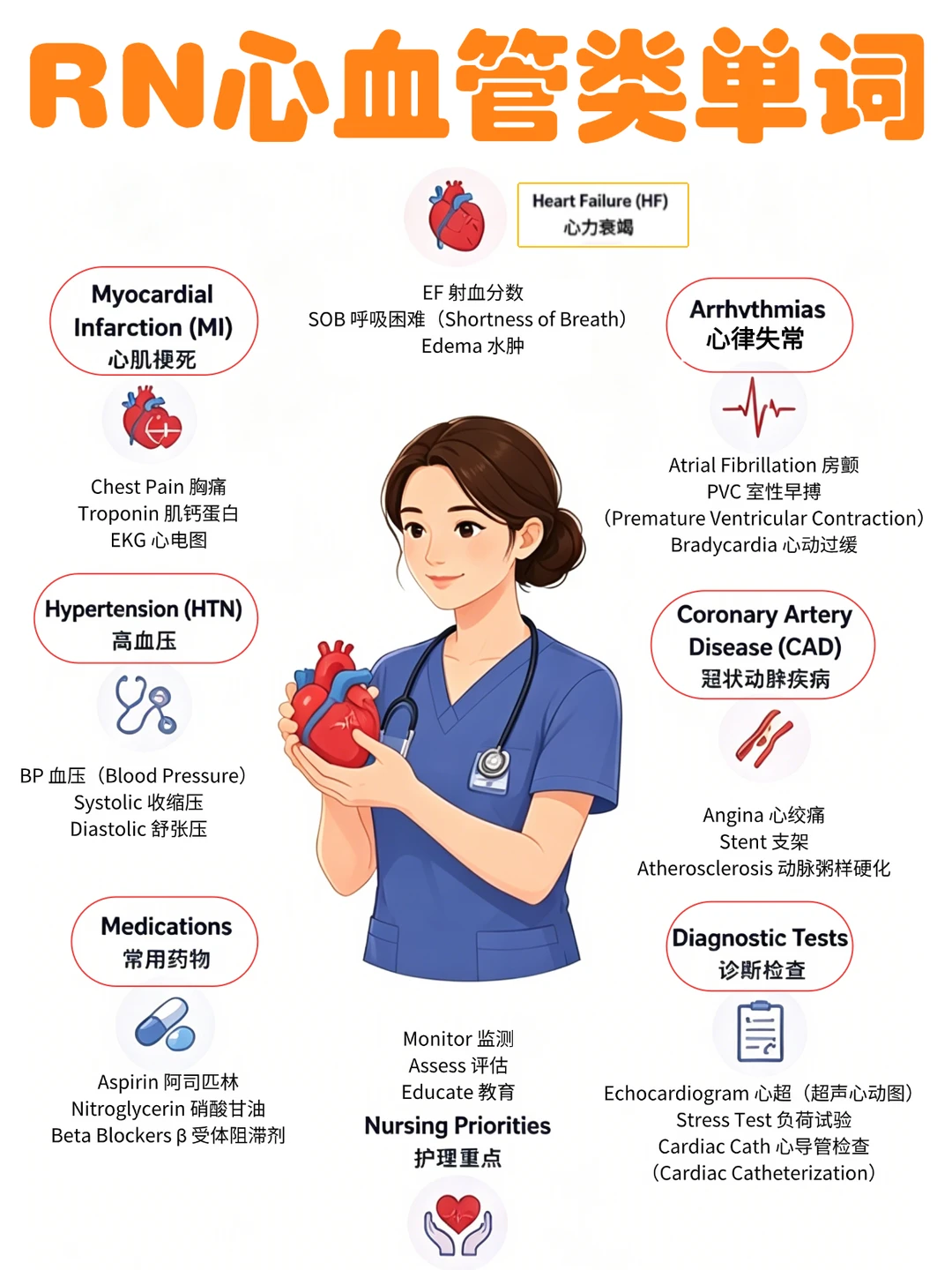 备考RN/心血管类单词！！学！！单词