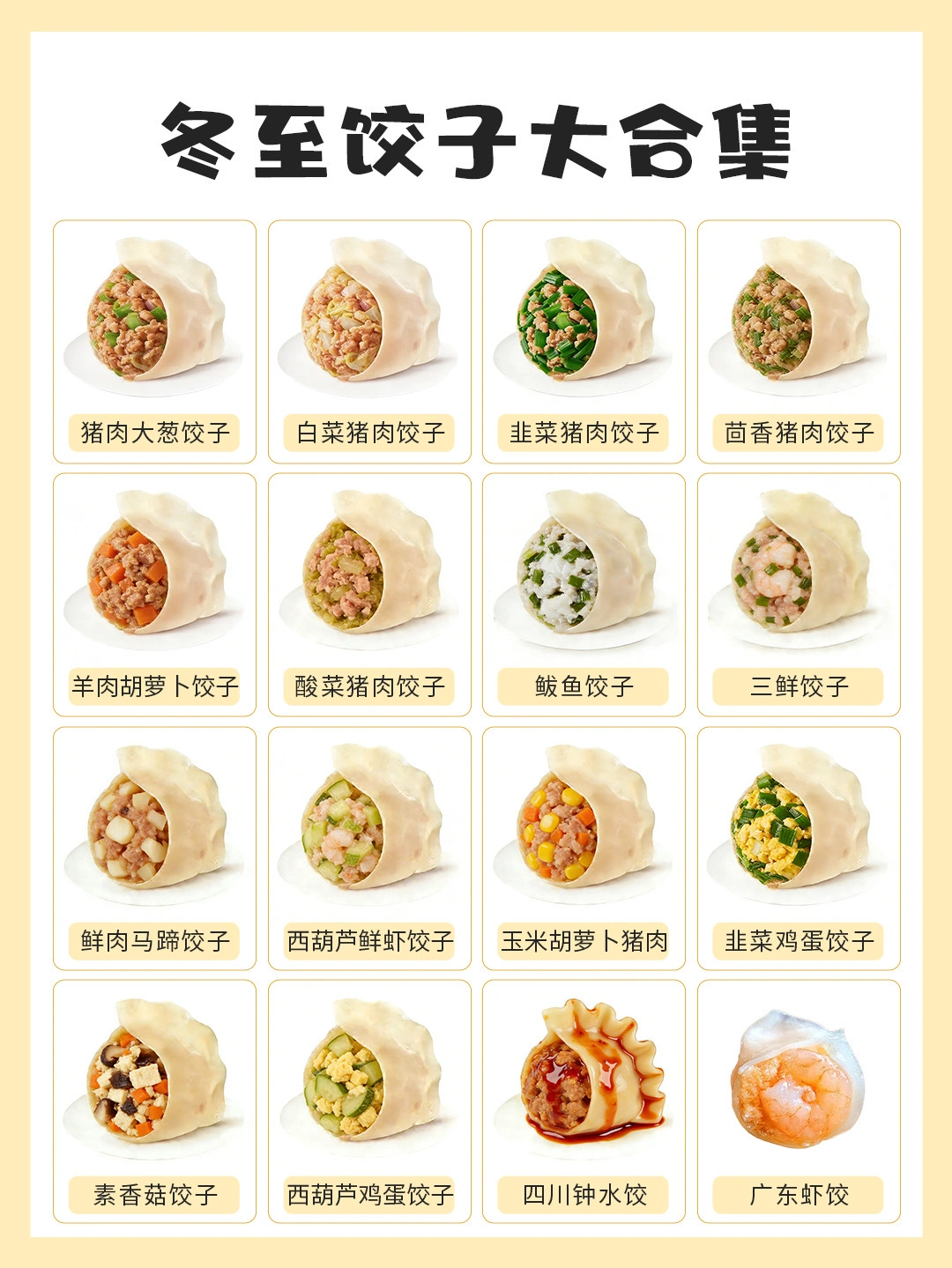 🥟冬至饺子大合集！｜一口吃出健康与温暖🥟