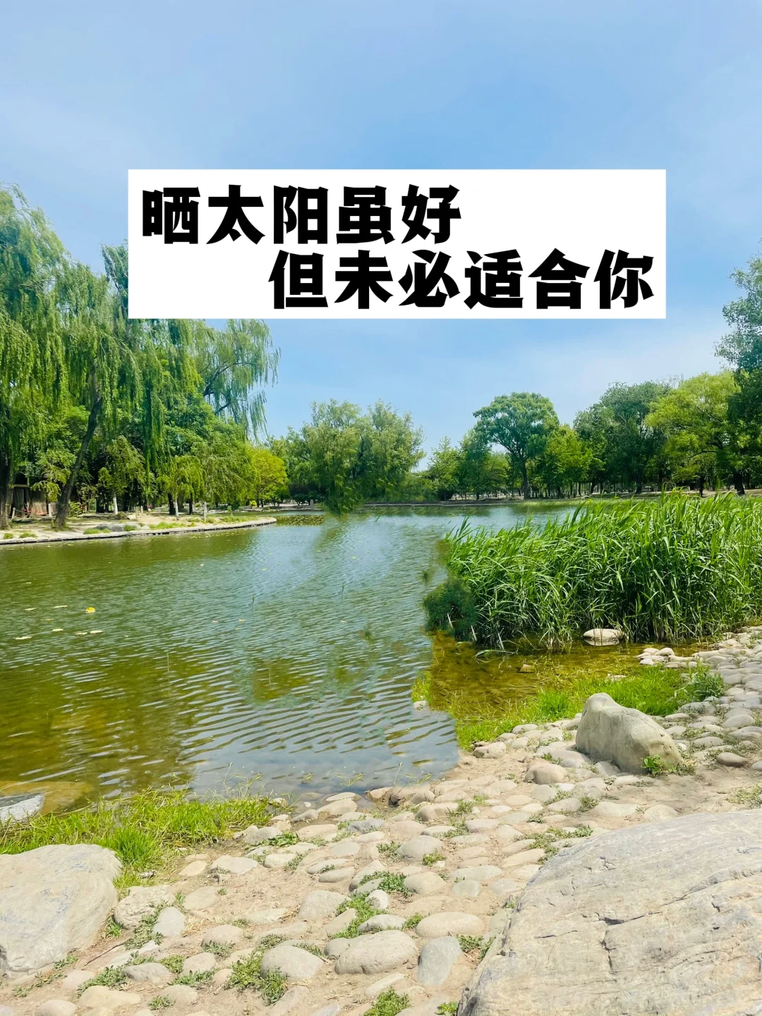 晒太阳虽好，但未必适合你！