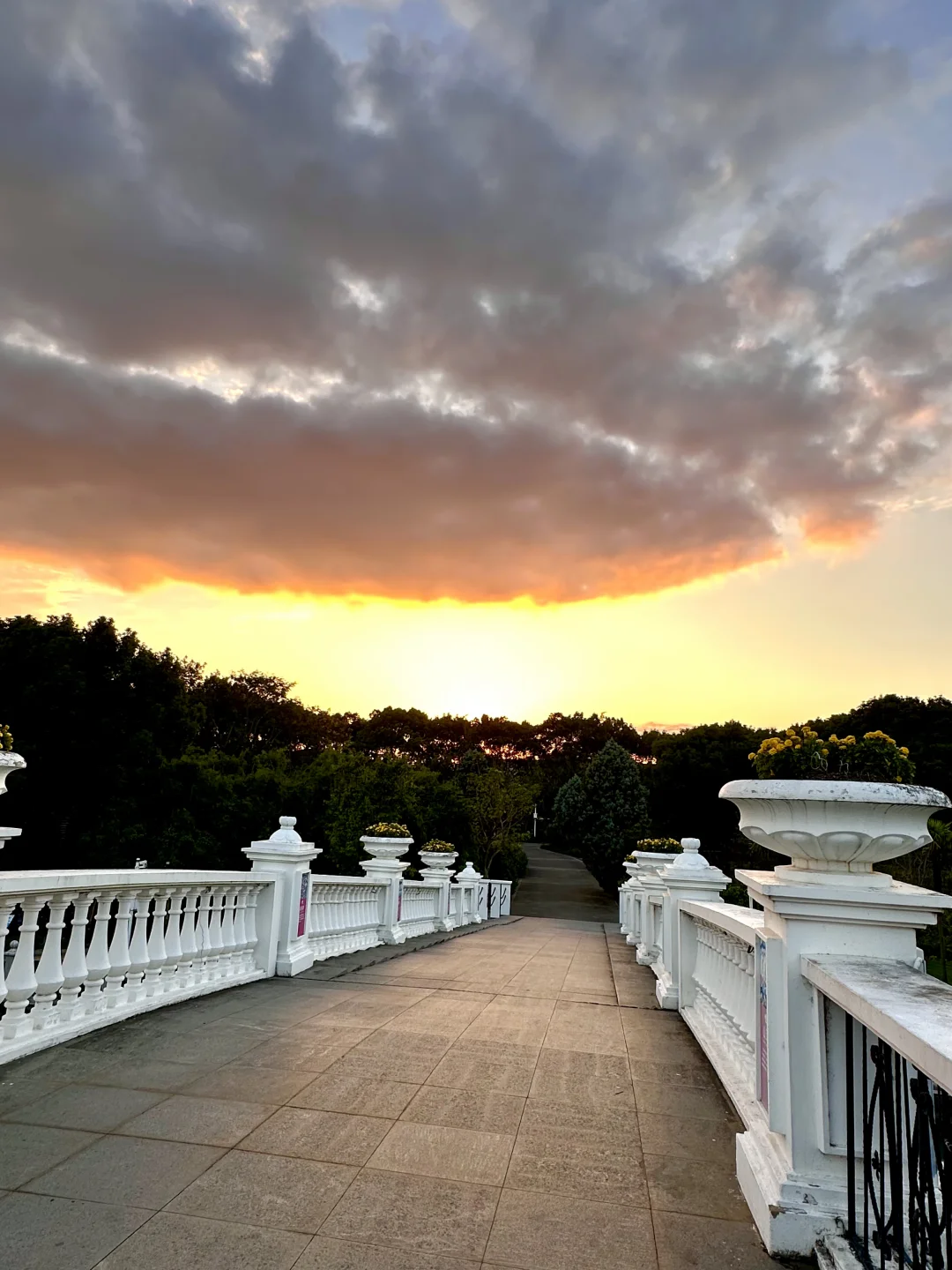 10.22上海实况！！台风来之前的日落杀疯了。。。