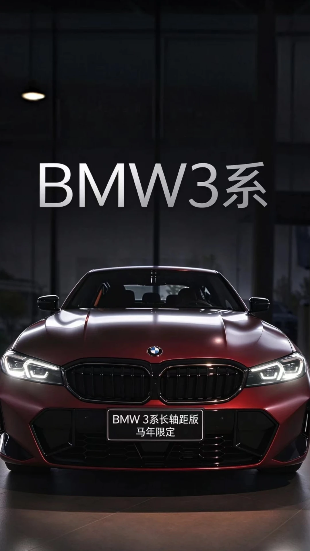 BMW 3系马年版  选车就像选人生的伴侣