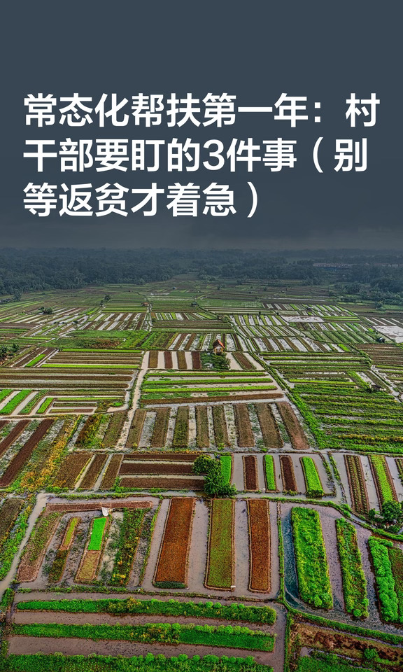常态化帮扶第一年：村干部要盯的3件事（别