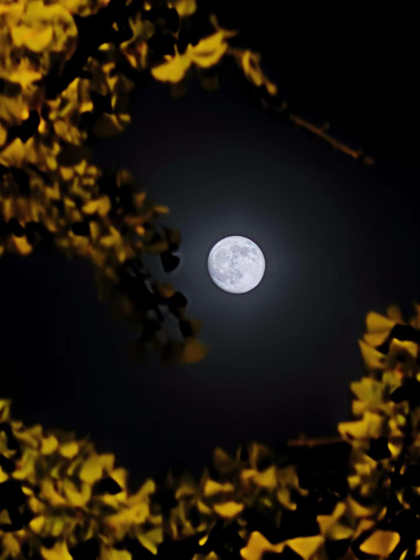 中秋和《月》很搭 中秋节快乐