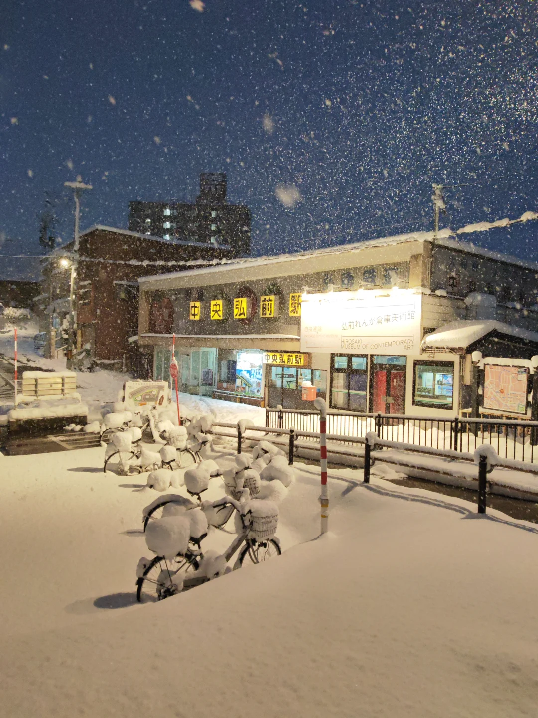 青森的雪杀疯了