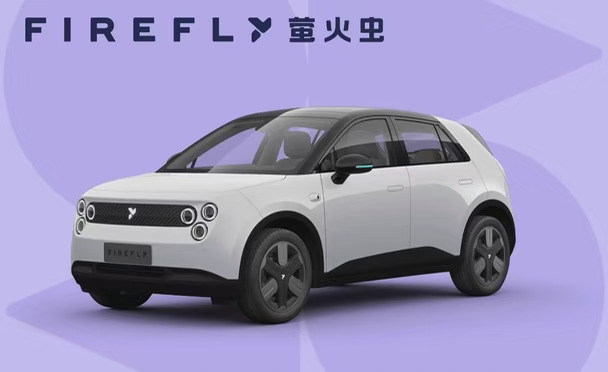 ✨萤火虫发光版白外黑内现车｜一周可提！