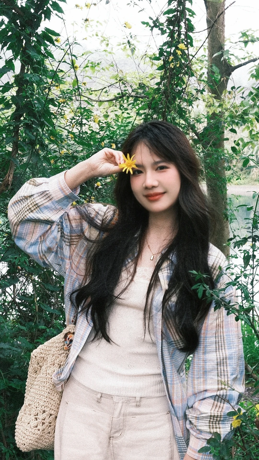 Plog | 用一朵花告别春日🌼