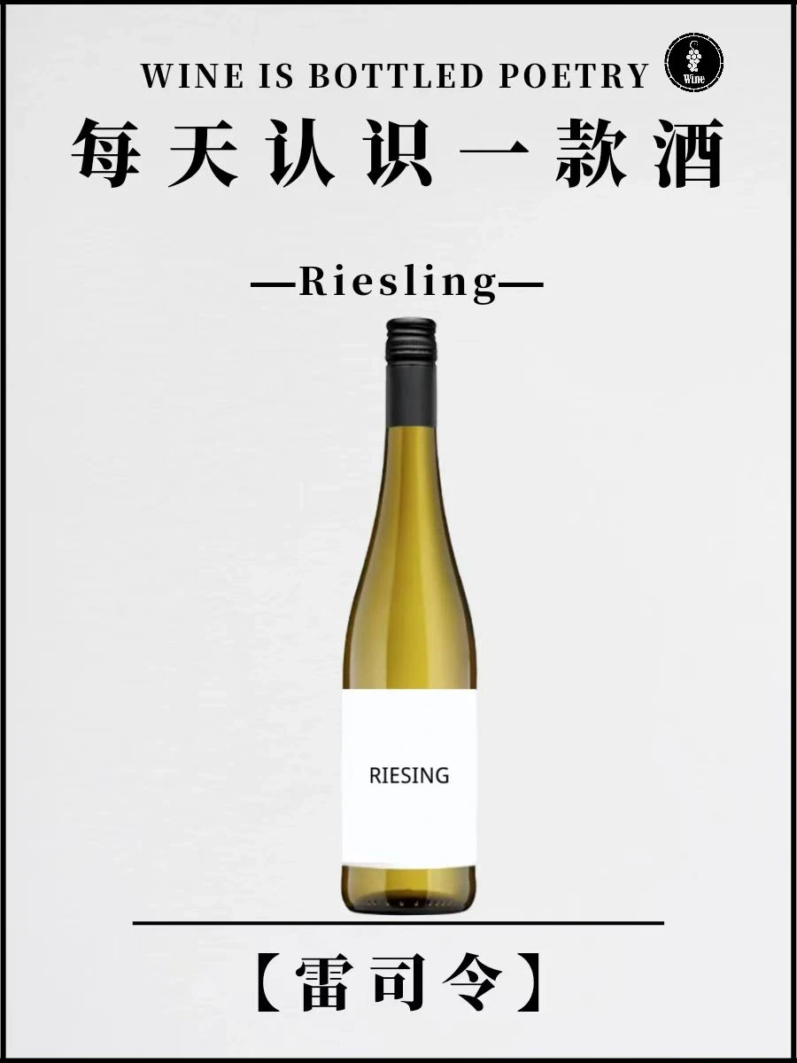 No.3每天认识一款酒 | 雷司令 Riesling