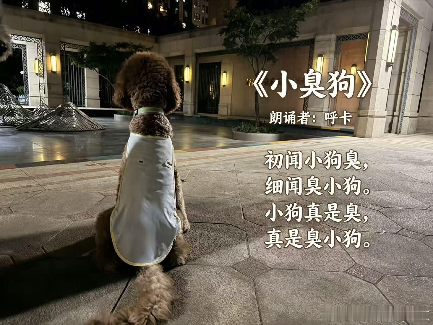 延误到整个休息室都空了…
美丽的空乘小姐姐说来给我一个眼罩说让路上好好休息
感觉毛茸茸的我一下就被抚平了～
拜拜啦成都车展～
回家看我的小狗！！！！
#2026成都车展#  ​