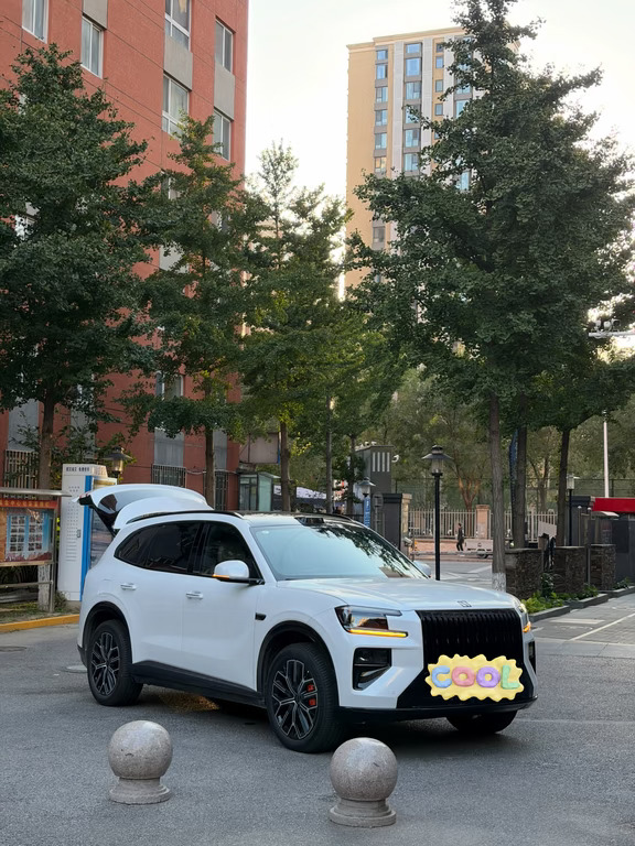 极氪8x 2500公里感受