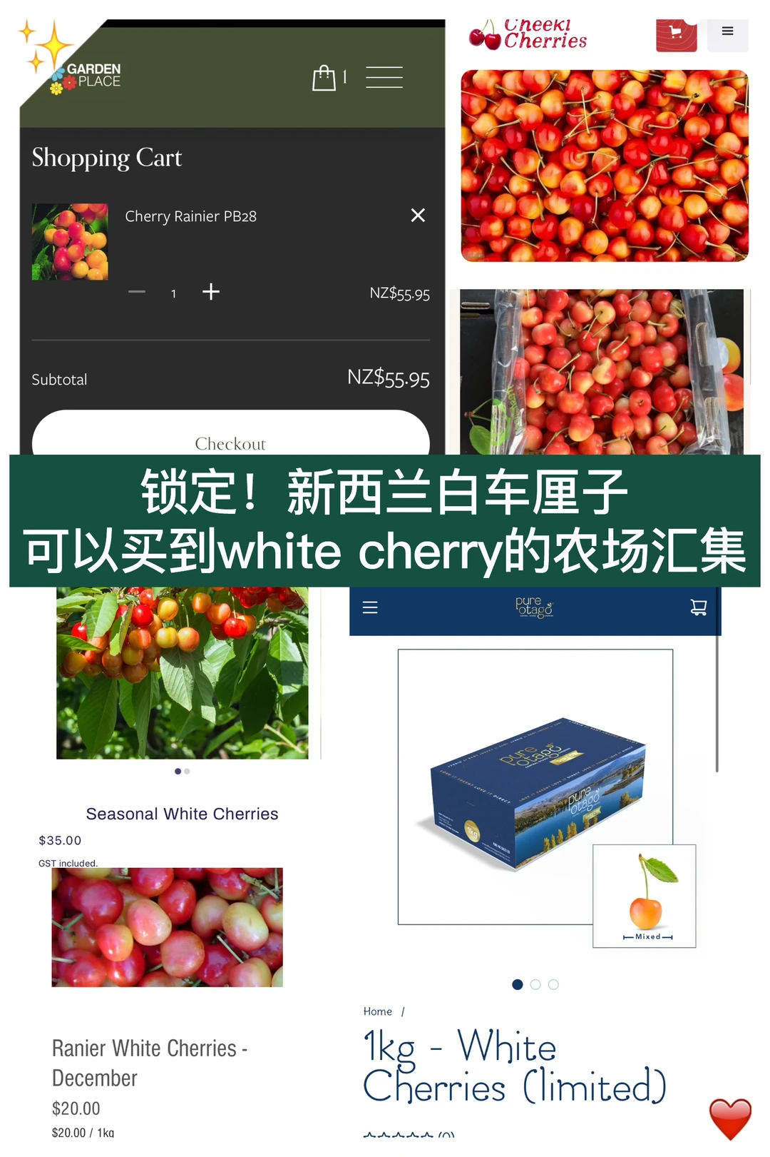 🇳🇿锁定2025第一口纽村白车厘子！拼手速