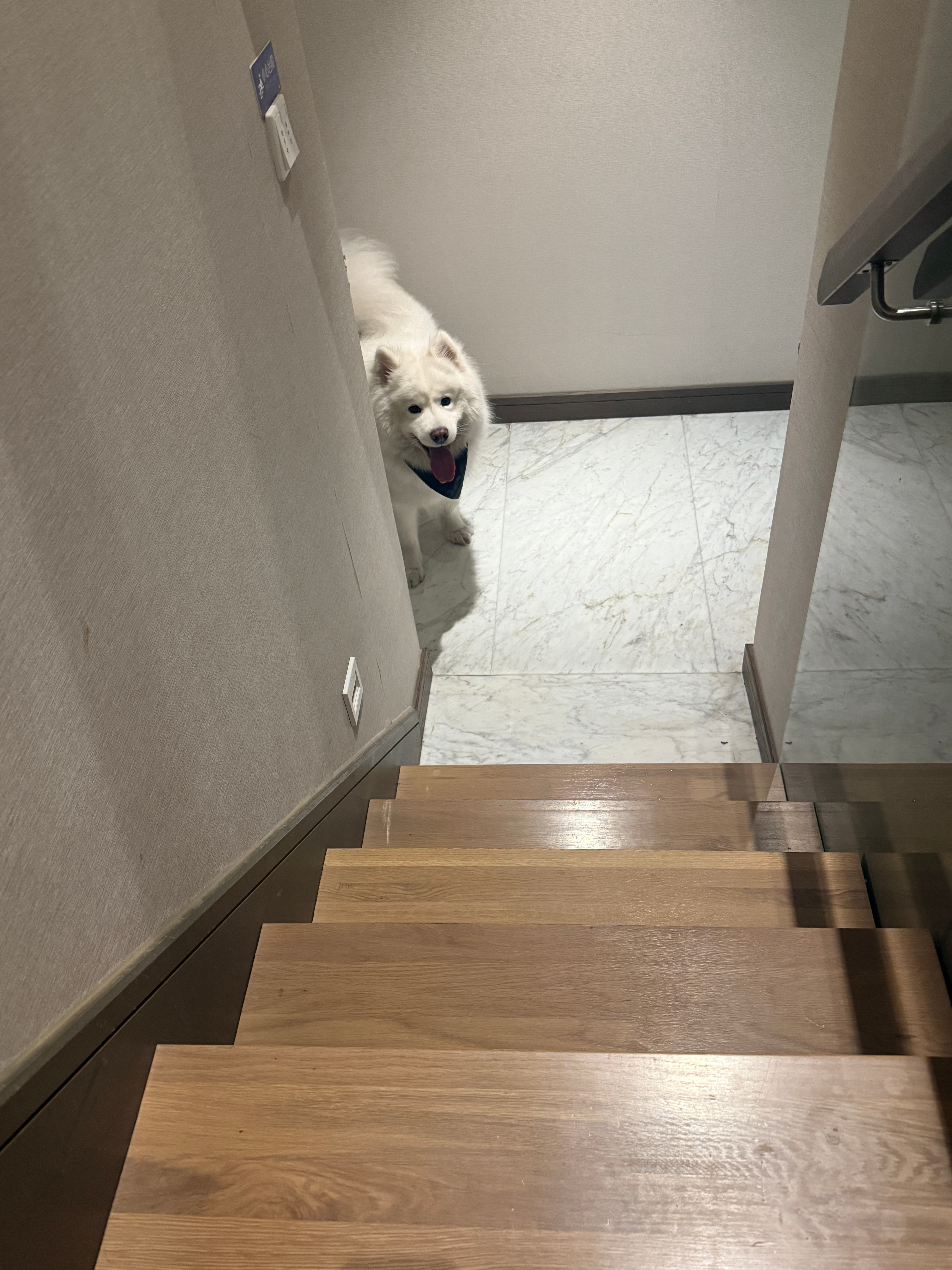 七夕快乐呀宝们 ​​​