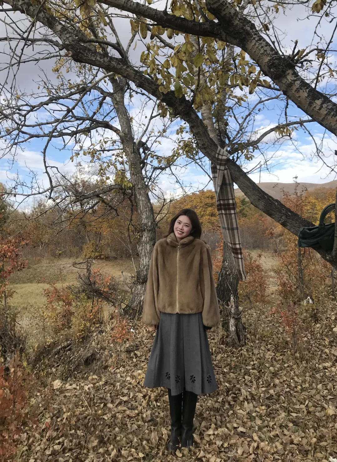 树上有条长长的围巾🧣