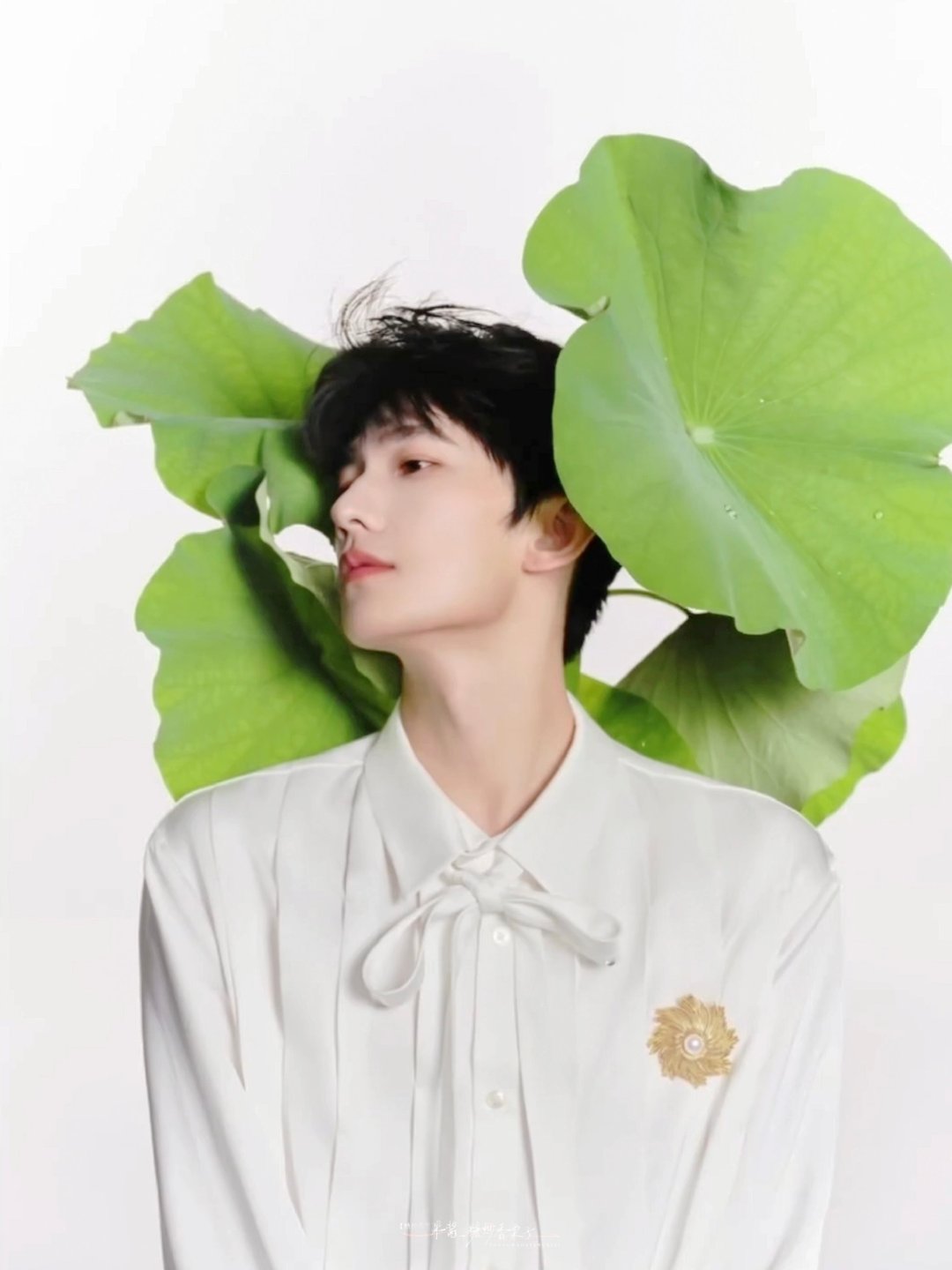 -
-
-
-纯白纯净🪷

#杨洋工作室出高人了#yy#杨洋0909生日快乐# ​