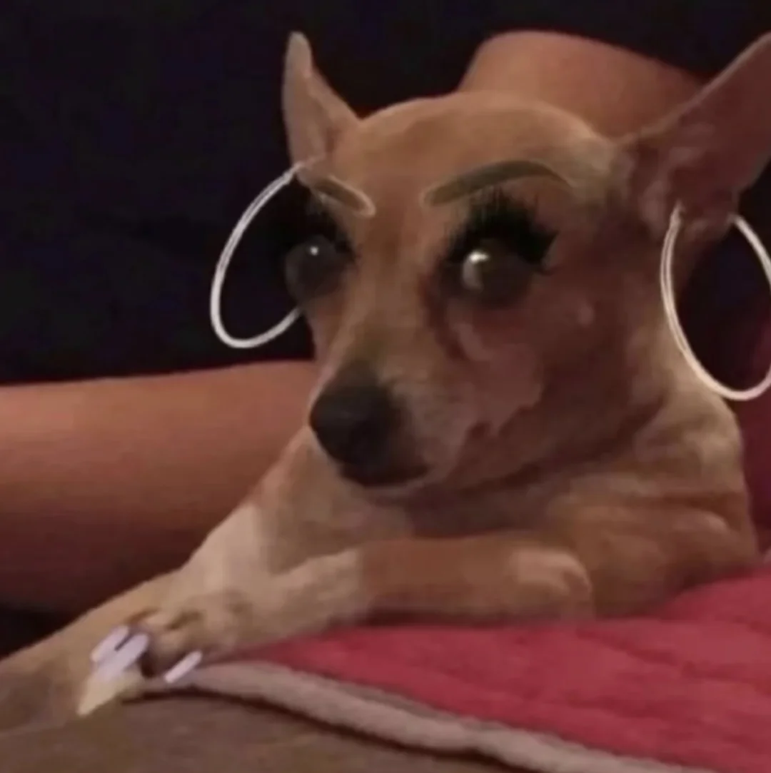 我们渣女/海后都是怎么和crush约会的