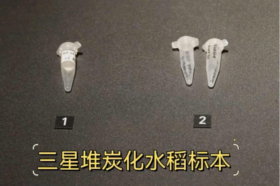 #三星堆文物怎么还有火锅# 鸭子河畔烟火流转三千年。古蜀人围炊器煮食，孩童把玩陶猪，农耕渔猎的生活图景，一件件文物帮我们完整复原。#火锅刻在中国人DNA里了# ​