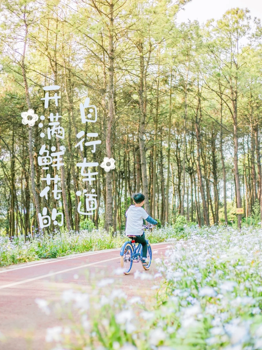 重庆遛娃🚴最美自行车道开满鲜花（2022最新）