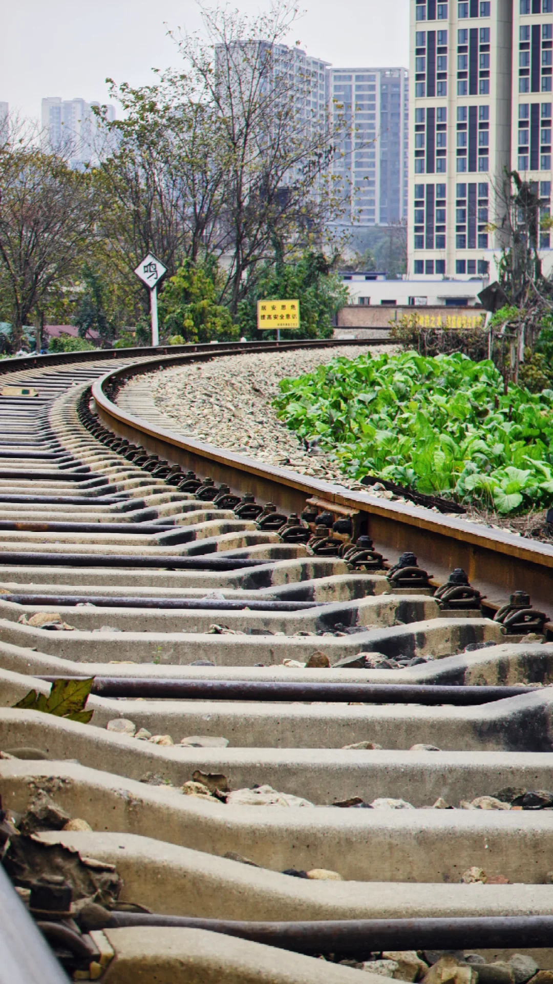 横在城市里的铁路
