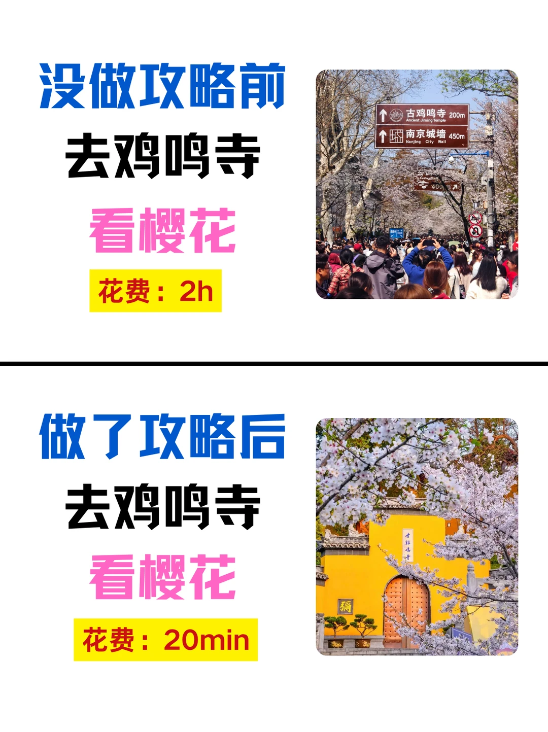 去南京鸡鸣寺‼一站式赏樱攻略🌸（附路线）