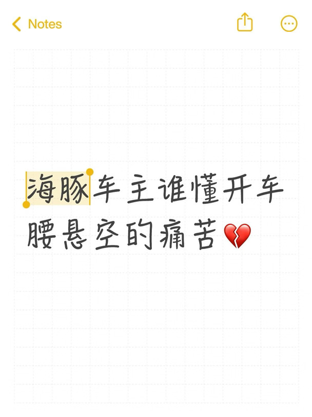 海豚车主谁懂开车腰悬空的痛苦💔