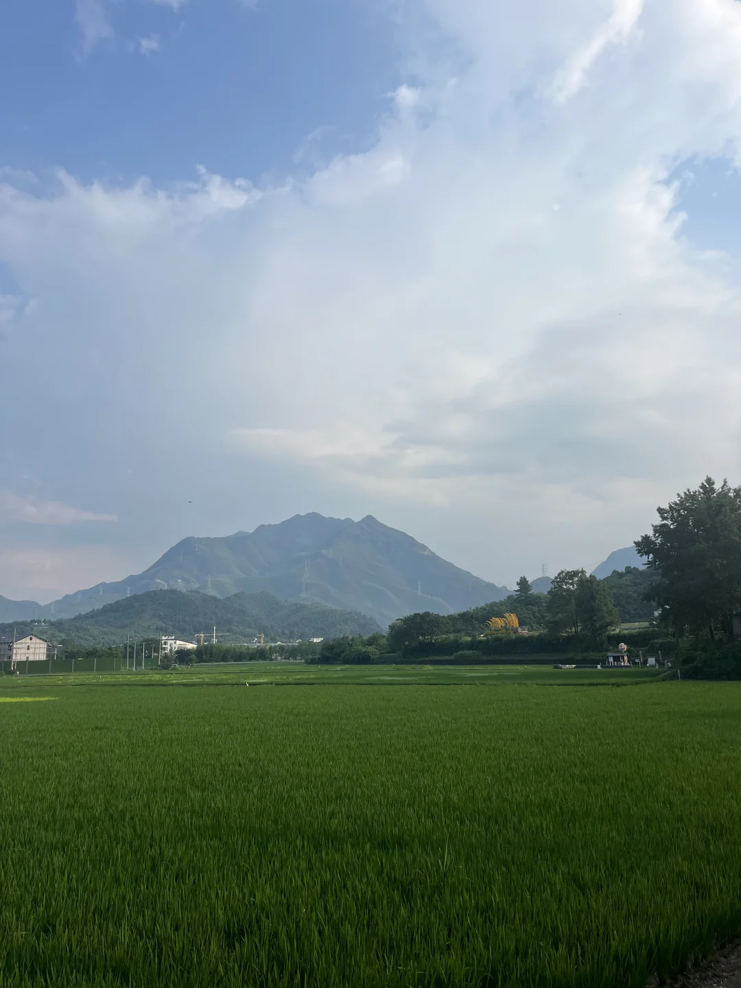 看完人工智能大会，我有一些大胆的想法🤔