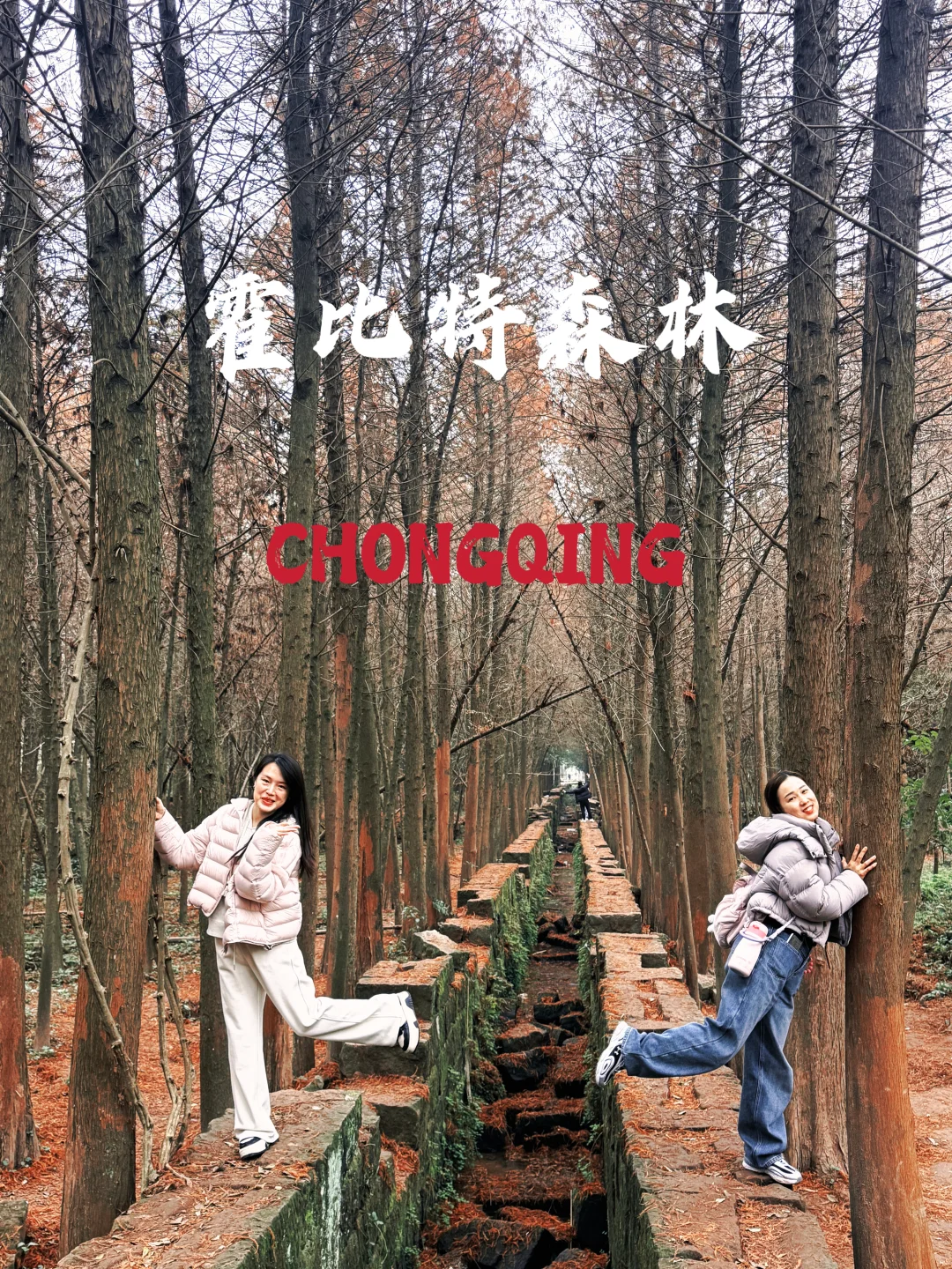 来重庆霍比特开启🔛 2026第一场的徒步