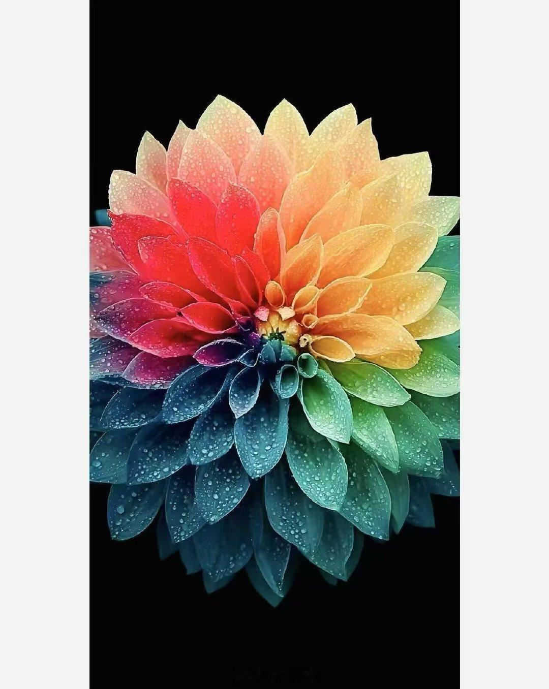 哦，一个独自走向世界的小孩，
祝福你，
是的，祝福。
——杨隐《微小的善念》

#壁纸##手机壁纸##曝小米18Fold七天激活近8万台# ​