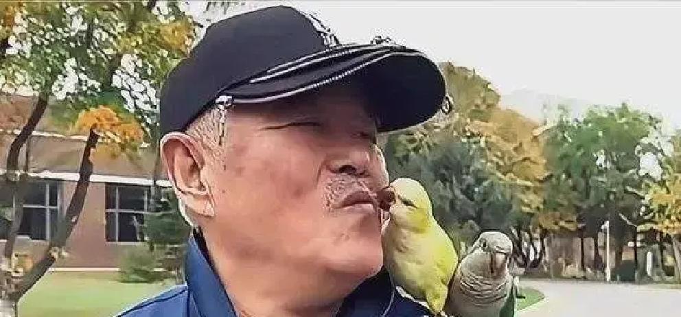 69岁赵本山放着三亚海景豪宅不住，蹲老城区爬楼遛鸟，身边连个保镖都不带。

从1990年第一次上春晚，到2011年最后一部《乡村爱情》，赵本山在春晚站了21年。那会儿谁家年夜饭不看他的小品，第二天出门都不好意思跟人打招呼。

2012年之后，他再没上过春晚。网上开始传他坐轮椅，说他脑溢血，身体彻底垮