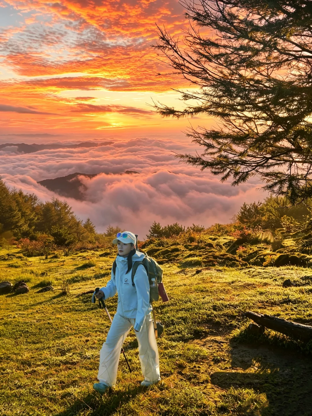 不是标题党|40分钟登顶大雷山看日出云海🌅
