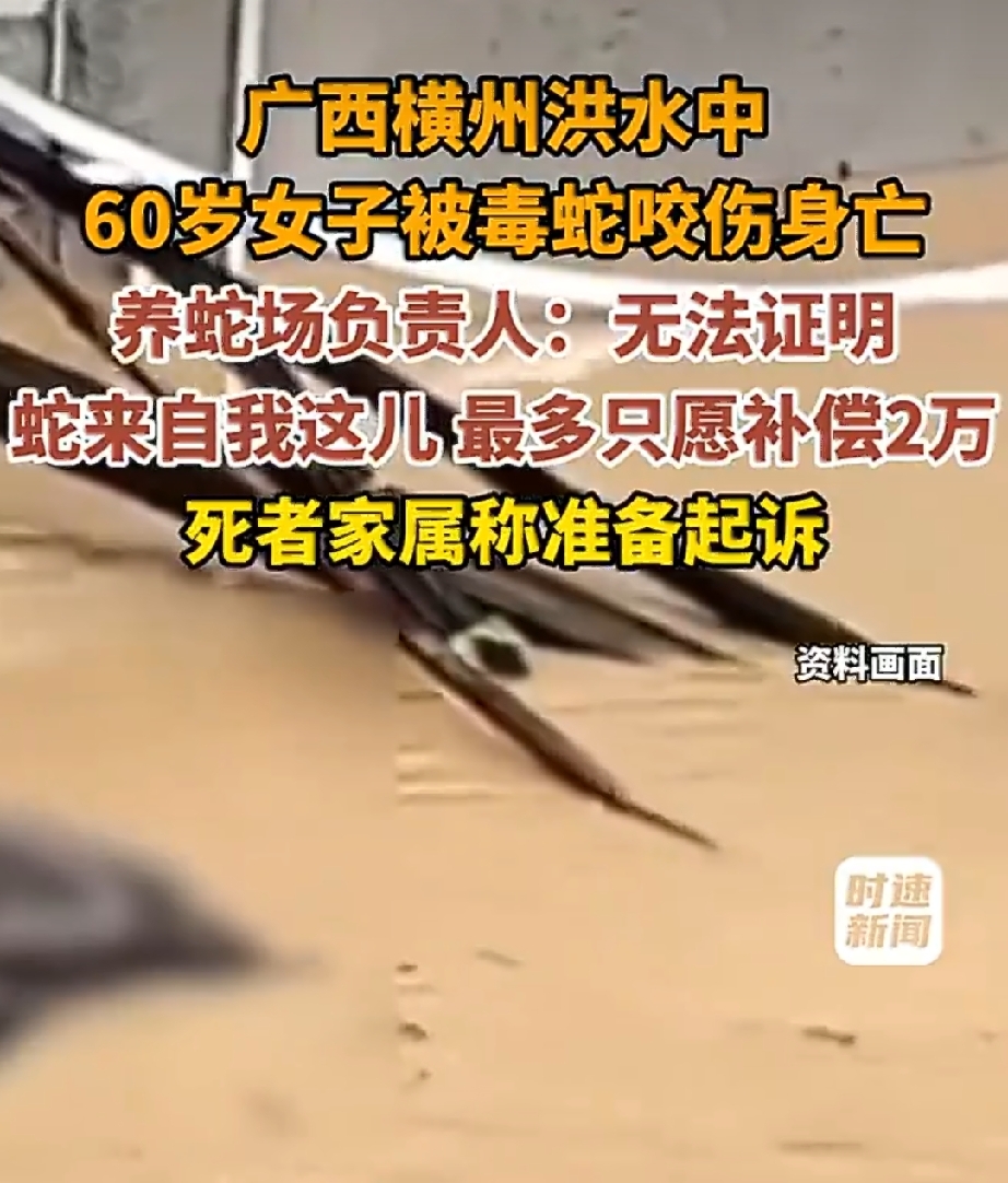 在广西横州市的一个村庄里，发生了一起令人痛心的意外事件。当时，当地遭遇了严重的洪水灾害，大水漫进了村子。在洪水肆虐的过程中，村里一处没有办理合法手续的养蛇场被大水冲垮，导致场内的大量蛇类，包括剧毒的眼镜蛇，随着洪水四处逃散。
在这场洪水中，村里的一位六十岁女子不幸遭遇了意外。当时她和丈夫正待在家中，