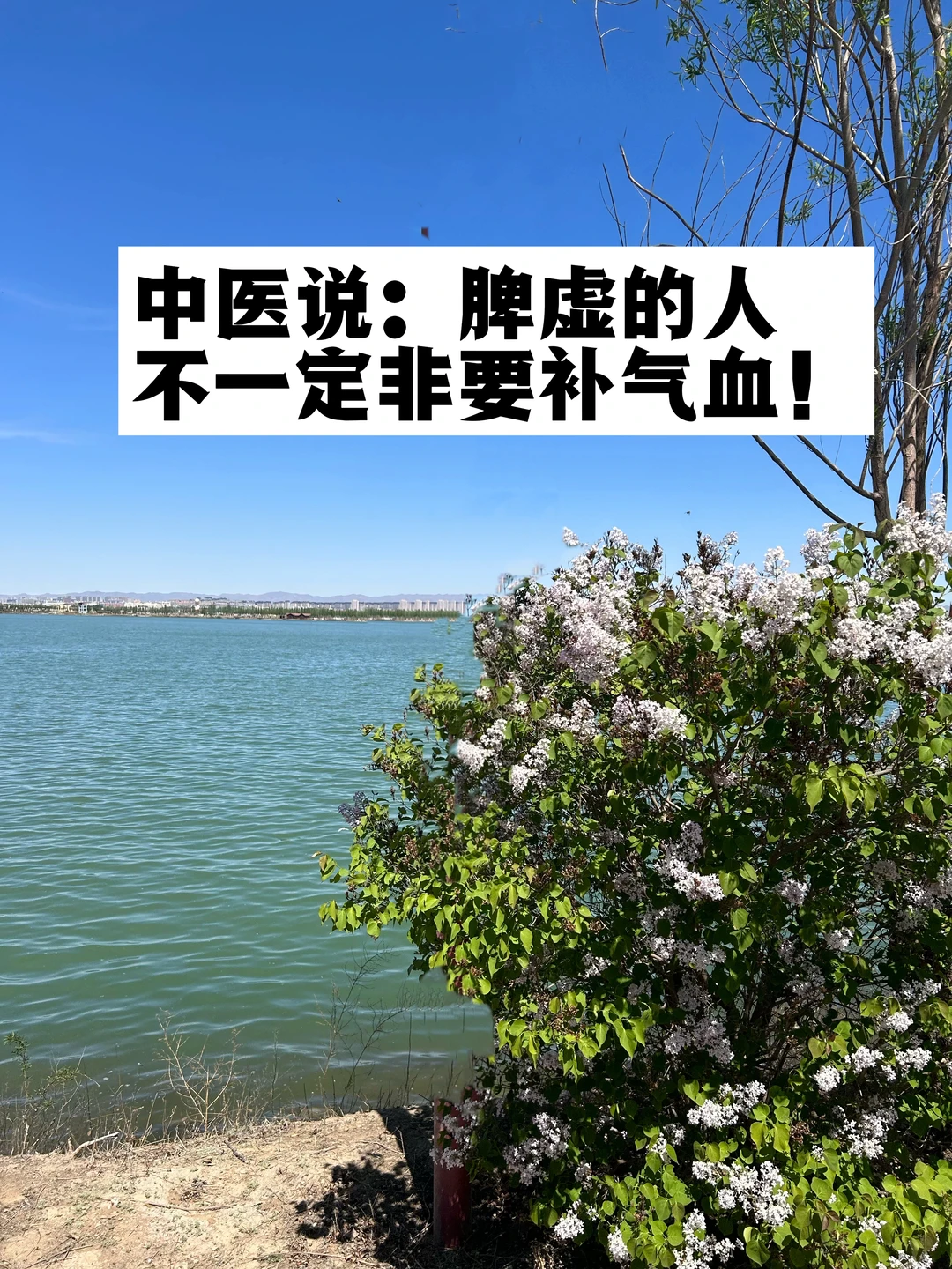 中医说：脾虚的人，不一定非要补气血！