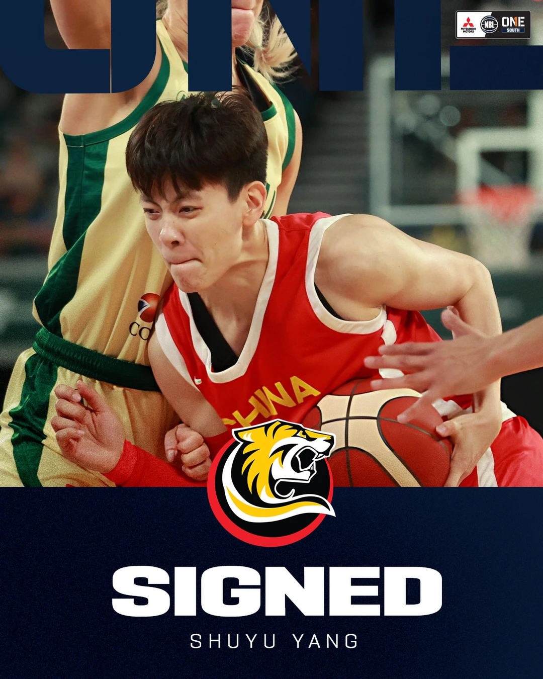 杨舒予加盟半职业联赛NBL1 搭档吉迪姐姐