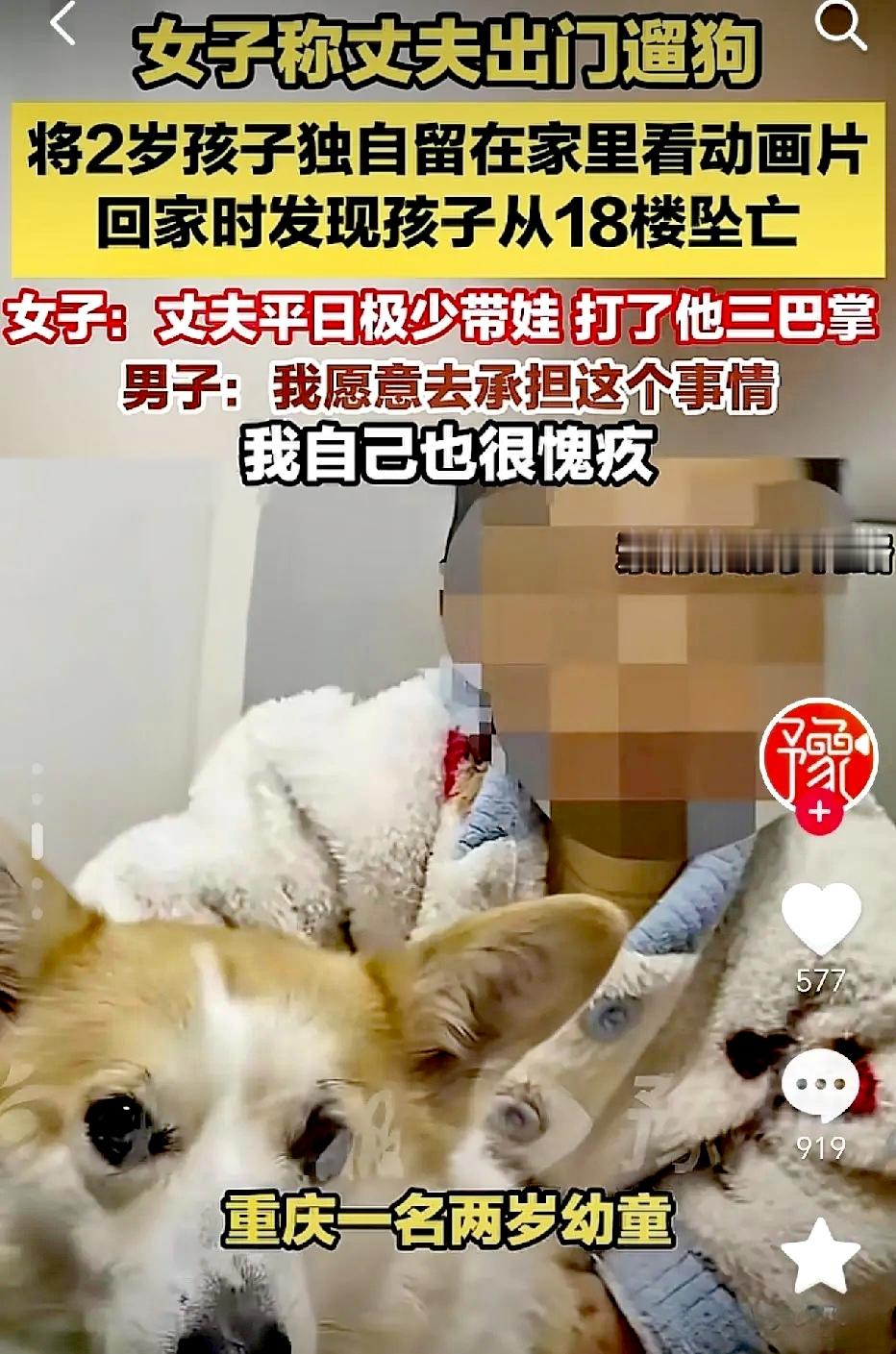重庆，将2岁孩子独自留在家中，自己出门遛狗的男子太大意了！他以为给孩子找了平时喜欢看的动画片，孩子就能够安心的坐在沙发上观看，并且他在出门时，也没有检查窗户是否关闭，结果孩子爬到窗台从开着的窗户掉下去了！他家住在18楼，从五六十米高度坠落，后果可想而知！

其实，2岁大的孩子对父母等照看人依赖度很强