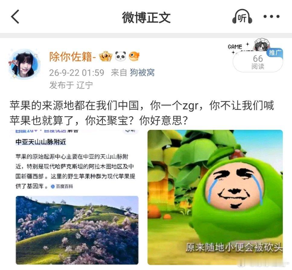 苹果（水果）来源地
 
现代栽培苹果的祖先为新疆野苹果（塞威士苹果），原生起源中心是中国新疆天山伊犁河谷一带（中亚天山山脉，含哈萨克斯坦阿拉木图周边） 。
 
1. 演化传播：新疆野苹果沿着古丝绸之路向西扩散，在欧洲和当地森林苹果杂交，逐步培育出西洋苹果；向东杂交形成中国古代的绵苹果（古称 ​