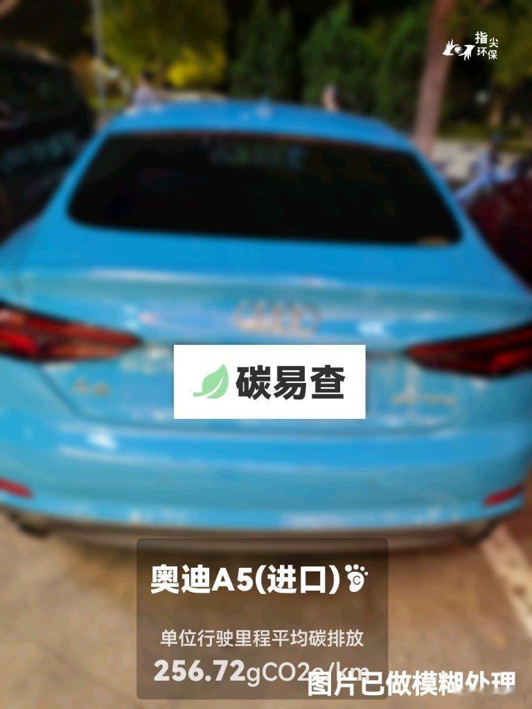 (进口)（Audi A5）：按照一辆车行驶20万公里计，平均每1公里的...