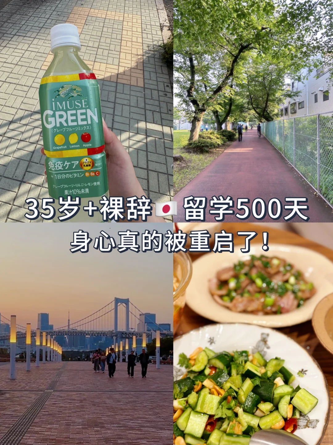 35岁+打工人辞职日本留学500天！身心重启了！