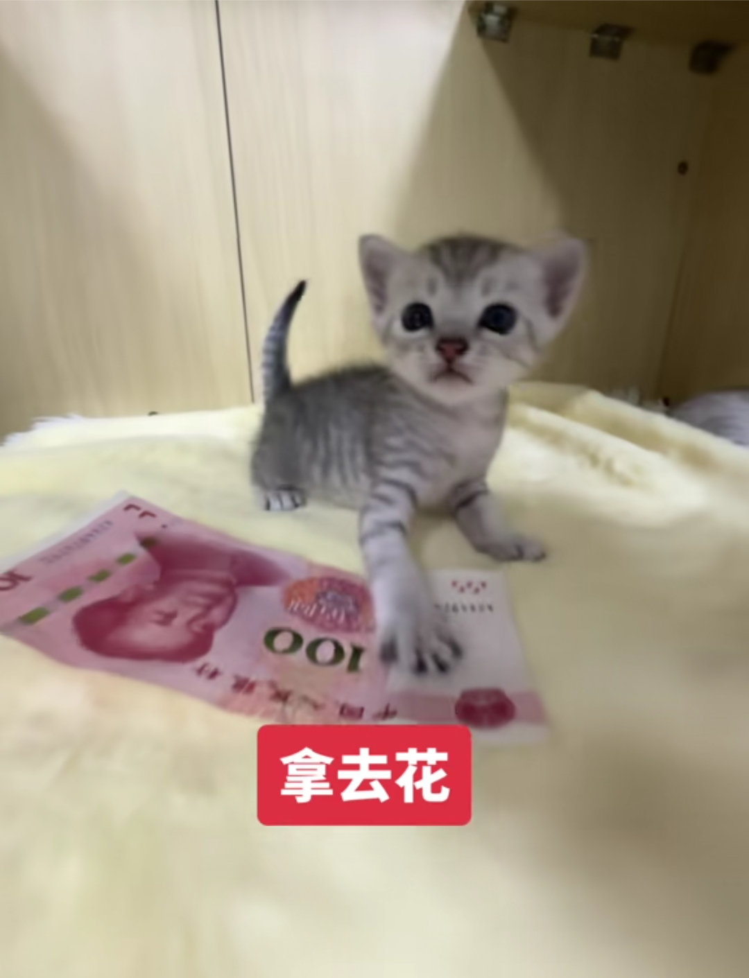 苹果直充的那个谁、 ​