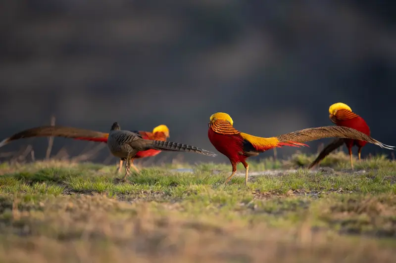 爱情新鲜感这事儿，很多人说大概三个月。从心理学讲，男女最初遇见喜欢的异...