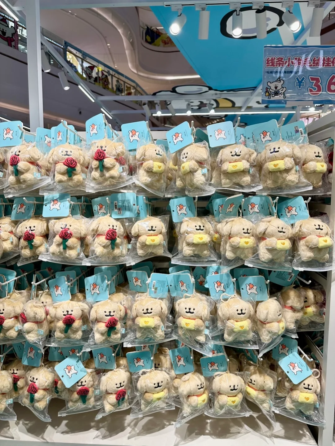 在杭州和小狗过圣诞好快乐啊啊啊啊！！