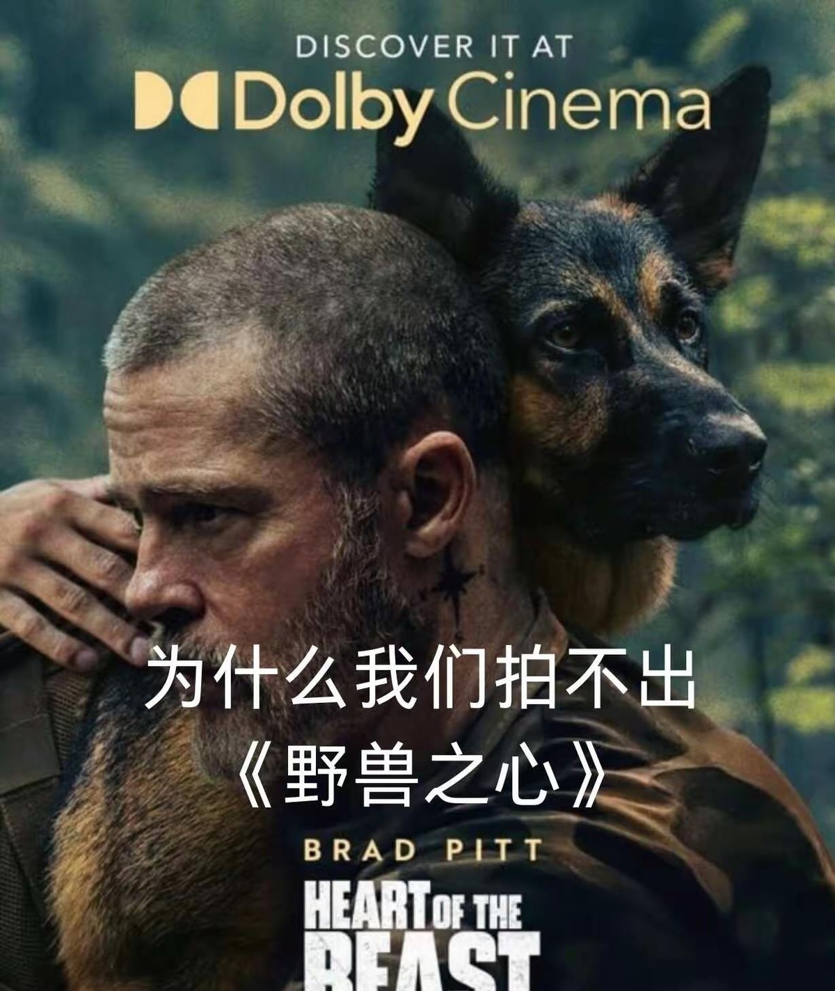 布拉德·皮特在《野兽之心》里演的那个退伍军官，半夜被军犬奥丁的狂吠惊醒，没有呵斥，只是搂住它说“只是噩梦，我们不在战场了”。就这一句，把很多人看崩了。
奥丁是条退役战犬，牙被打碎过，腿也瘸过，跟詹姆斯一样带着 PTSD。两个从战场上爬出来的人，在阿拉斯加坠机后困在荒野里，谁都没法命令谁“坚强点”。詹