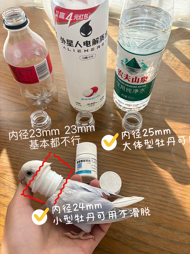 终于找到合适的防咬圈了！！