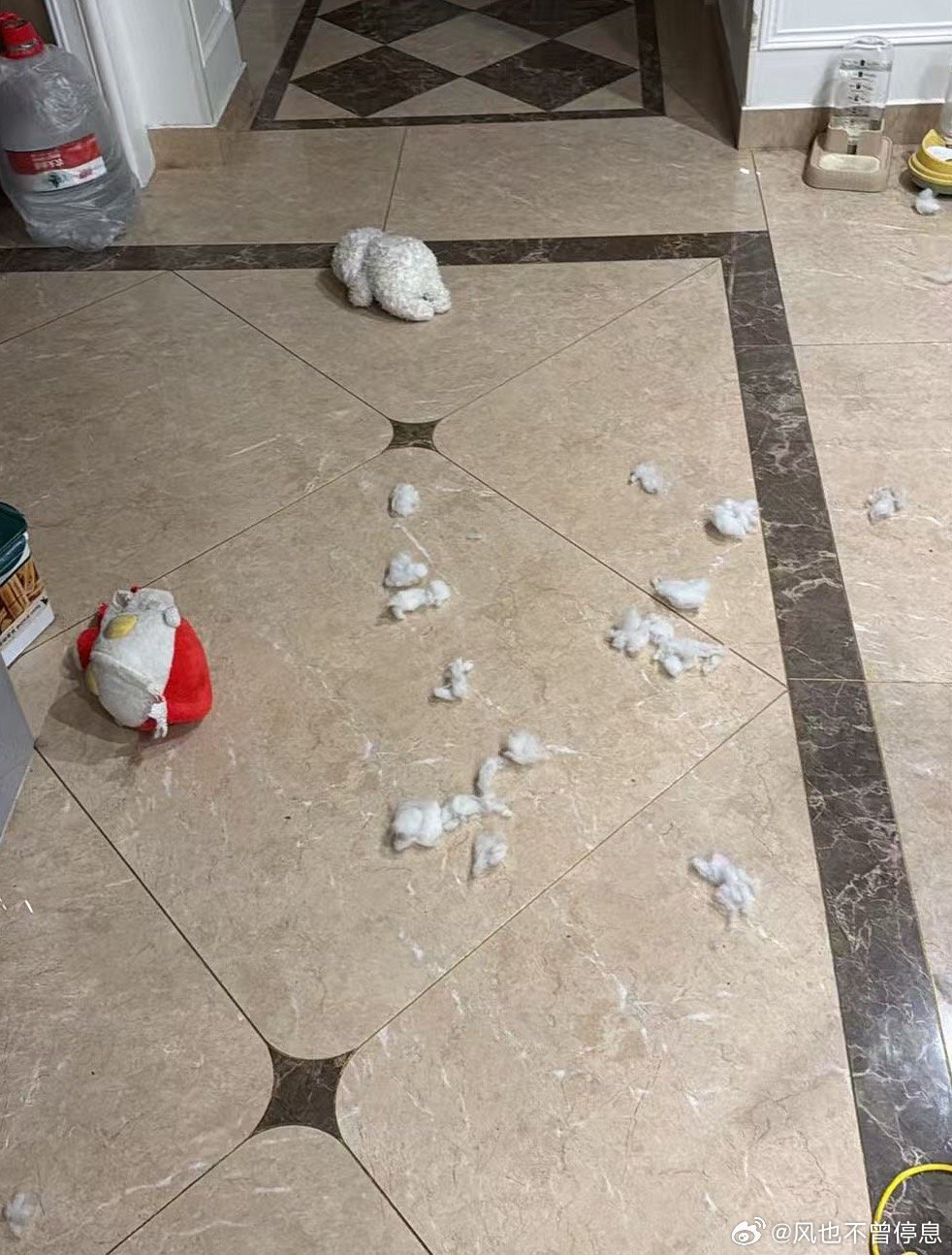 凌晨发生的凶杀案 ​