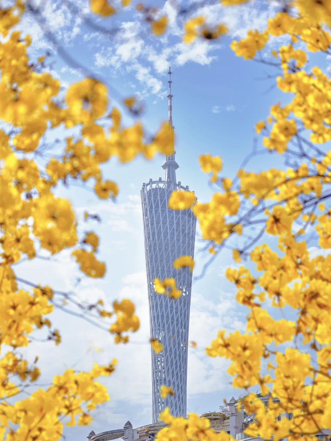 接下来广州的春天✨将是万万次的春和景明～