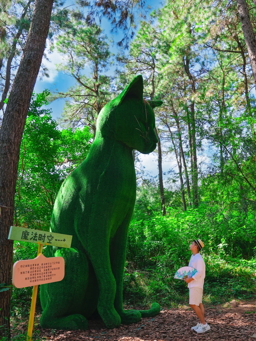 迄今为止，江浙沪最梦幻的乐园出现了…