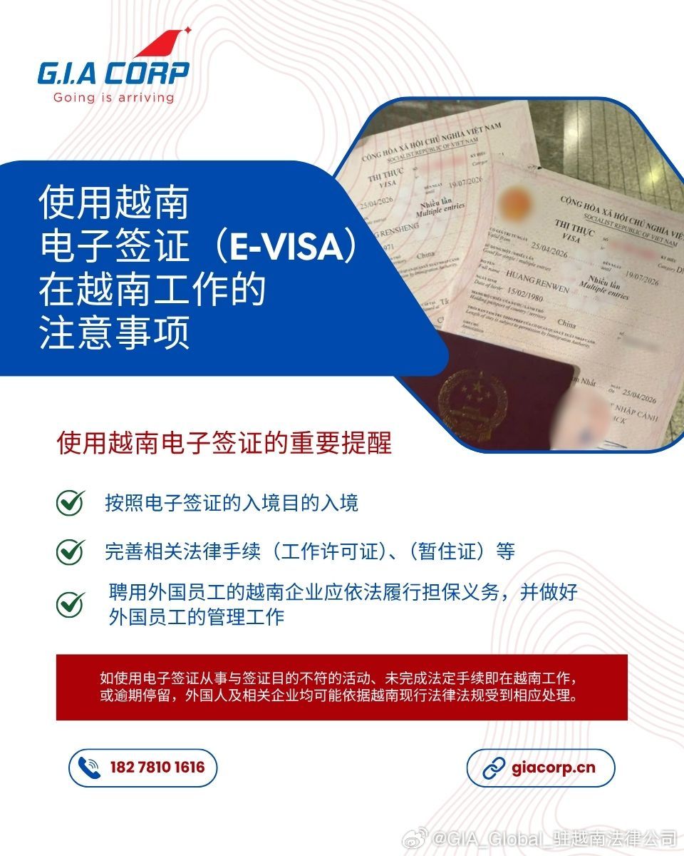 电子签证（E-Visa）可以在越南工作吗？外国人必须了解的重要事项  ...