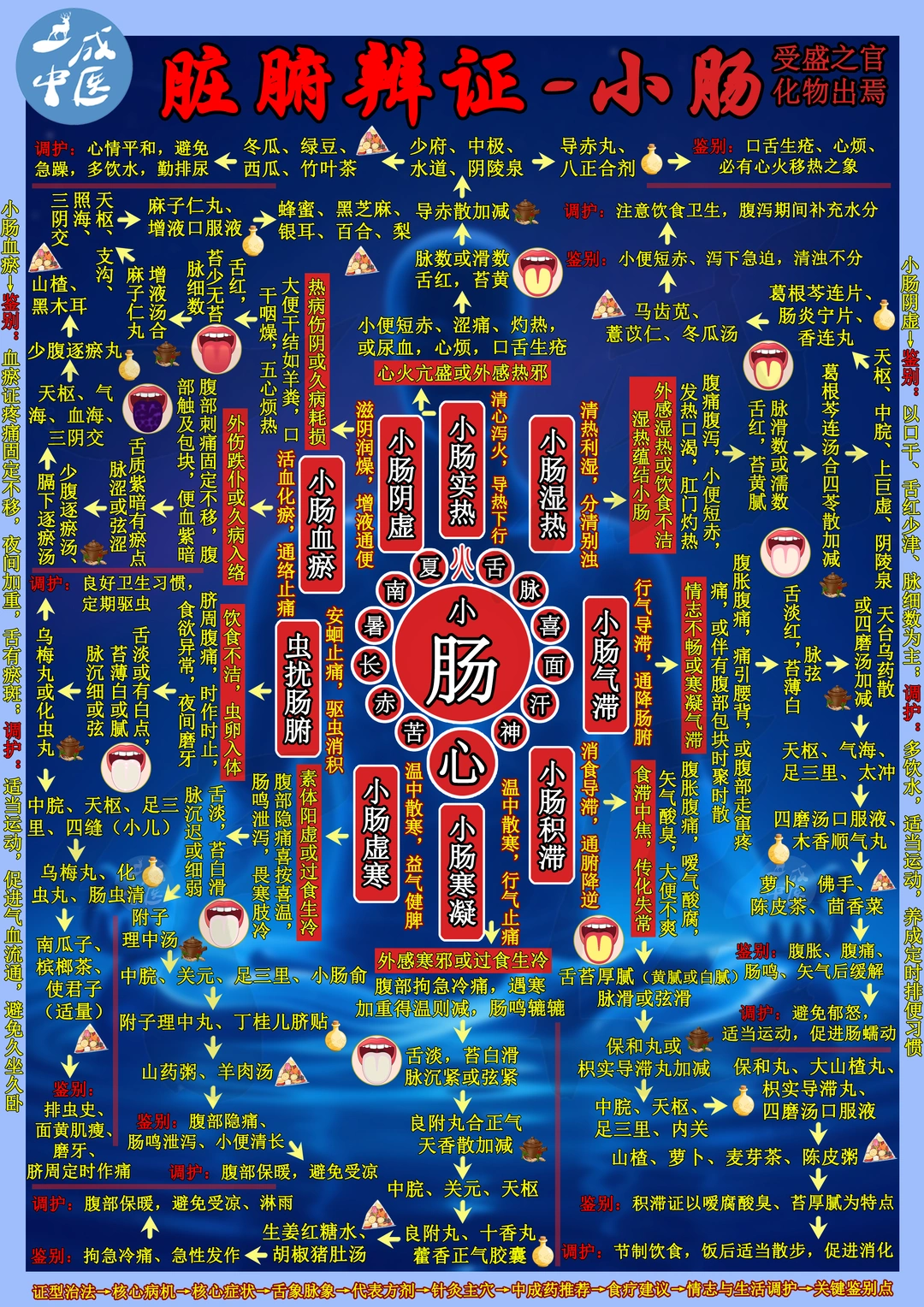 脏腑辨证-小肠！