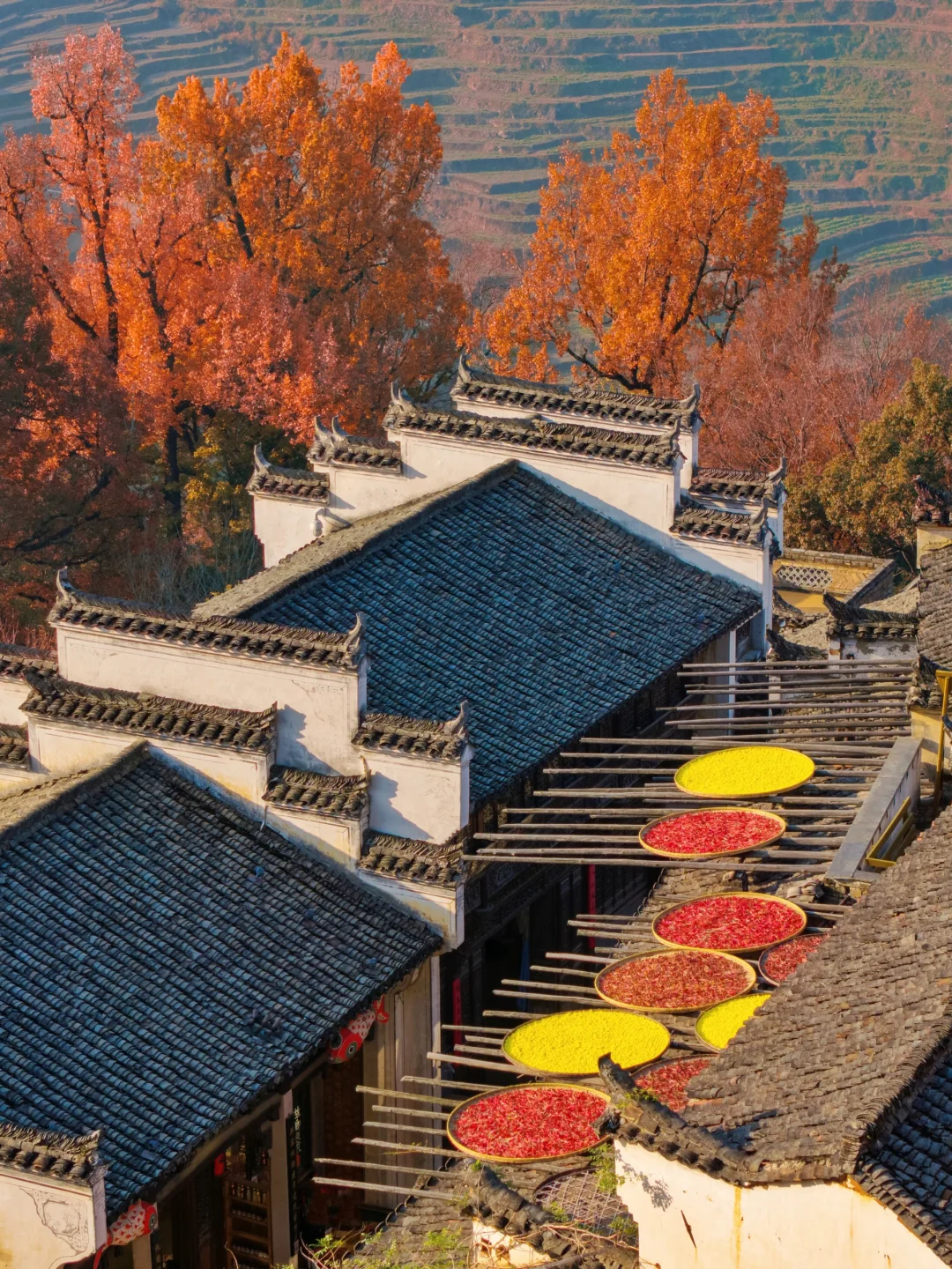 没踩雷🫡12月深秋去篁岭 直接照抄这篇攻略